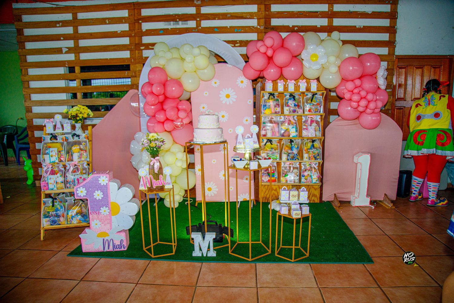 Fotos de cumpleaños en chiriqui - Cobertura de eventos @horuspty +507 6162-8942