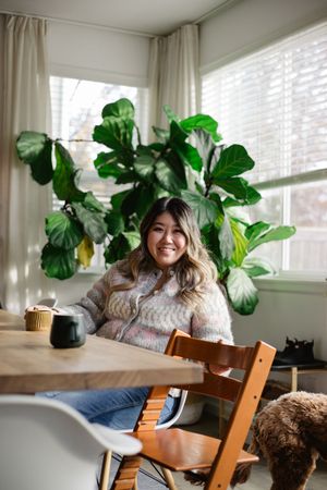A cozy living room scene with wooden dining chairs and lush fiddle leaf fig plants near sunlit windows.
