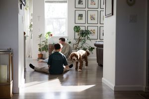 Two people sit on a floor in a sunlit hallway with a dog while surrounded by potted plants and framed wall art.