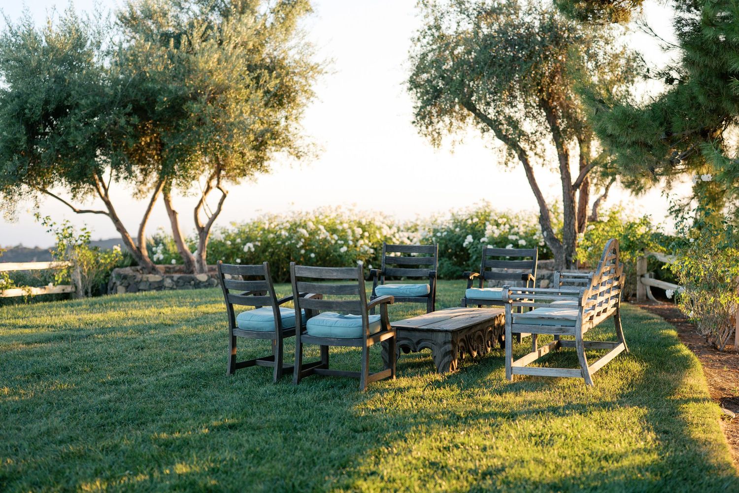 Golden sunlight streams through olive trees in a tranquil Mediterranean garden during sunset.
