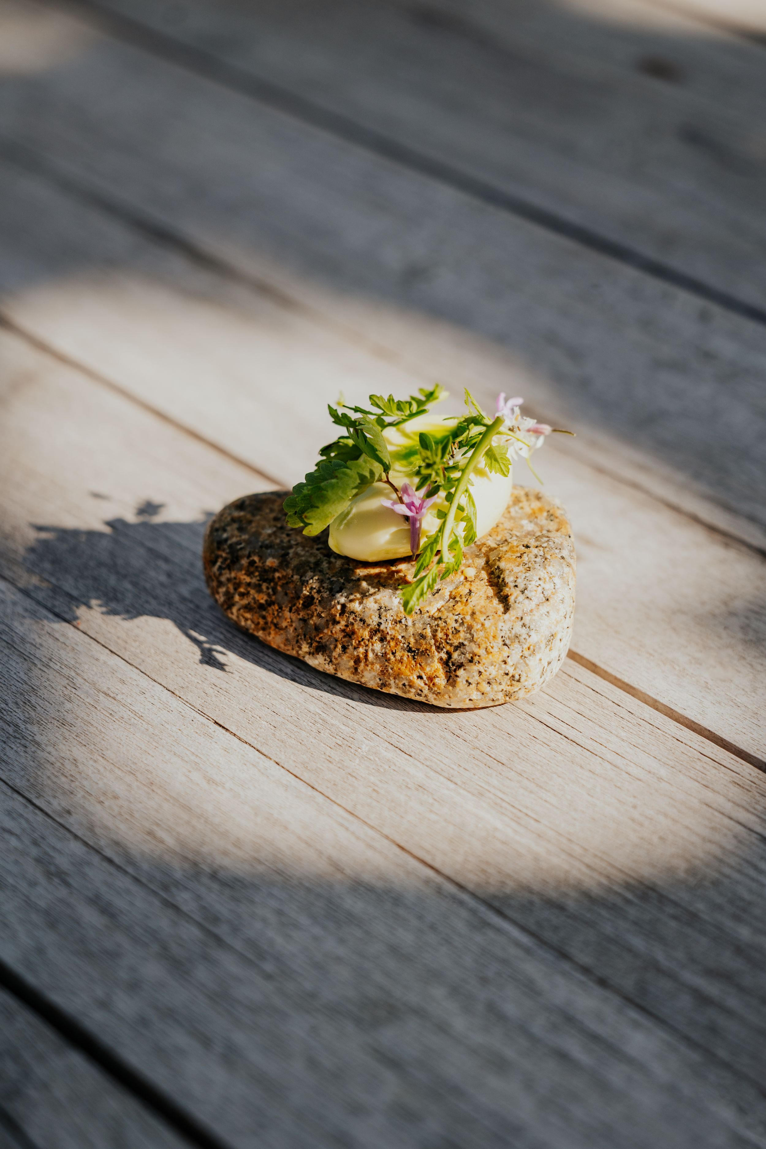 Gourmet appetizer with microgreens served on rustic wooden table.
