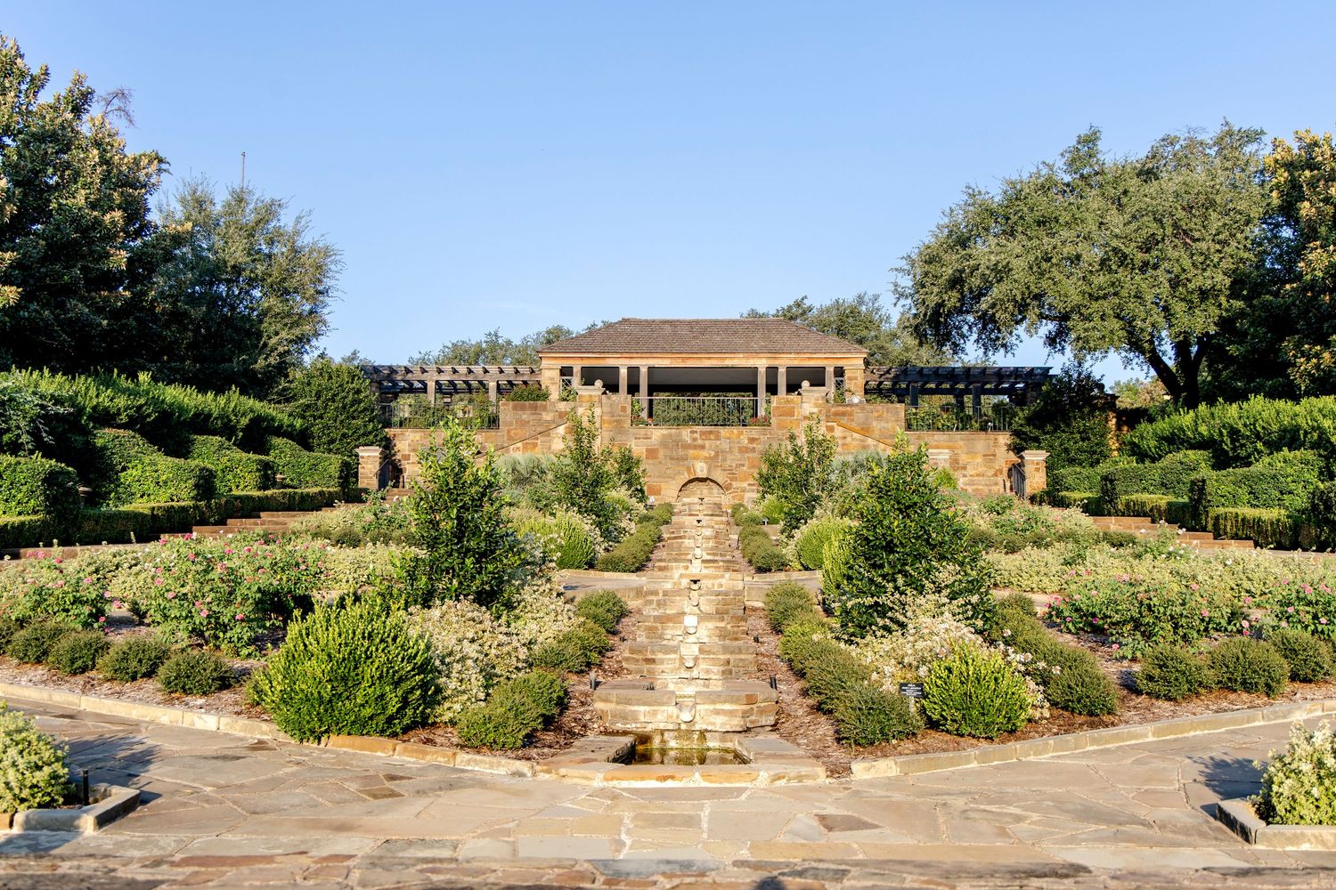 Surprise proposal at the Fort Worth Botanical Gardens