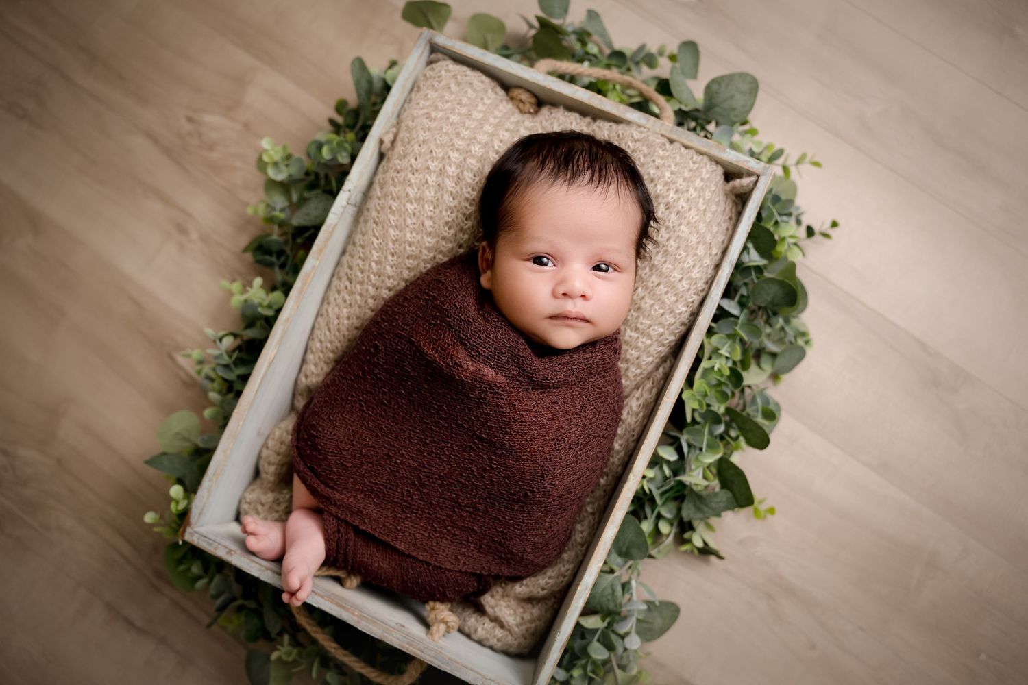 Newborn photoshoot Prince Albert, wrapped baby newborn boy in neutral and natural green prop