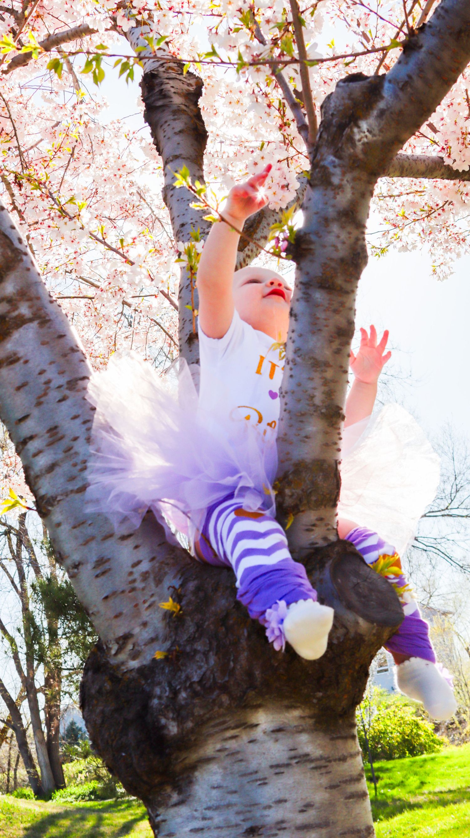 Baby girl standing by a tree during a first birthday milestone session at the International Peace Gardens in Utah