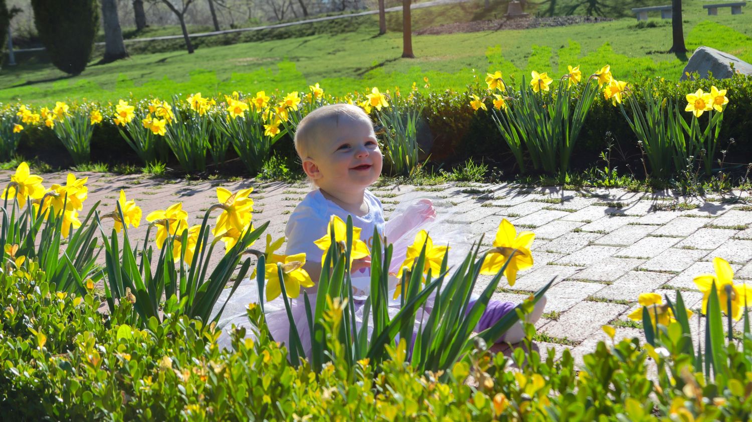 Baby girl sitting among flowers at the International Peace Gardens during a first birthday photo session in Salt Lake County, Utah