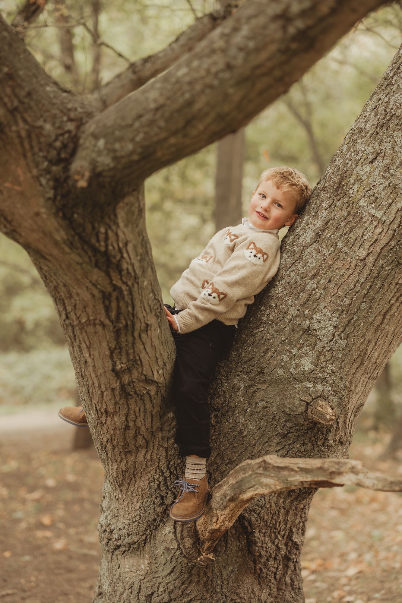 A small child in a cream sweater and brown shorts climbs on a large tree trunk in an autumn forest setting.
