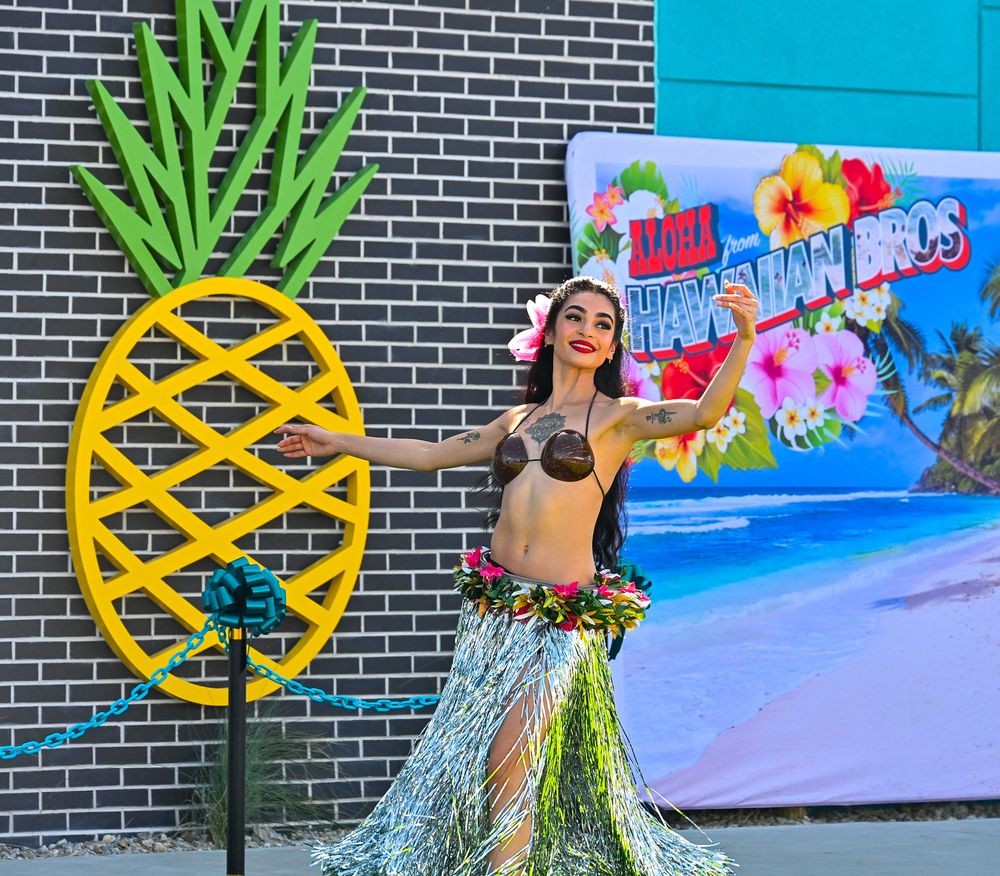 Polynesian dancer in silver grass skirt performs graceful hula before decorative pineapple at Hawaiian Bros event.