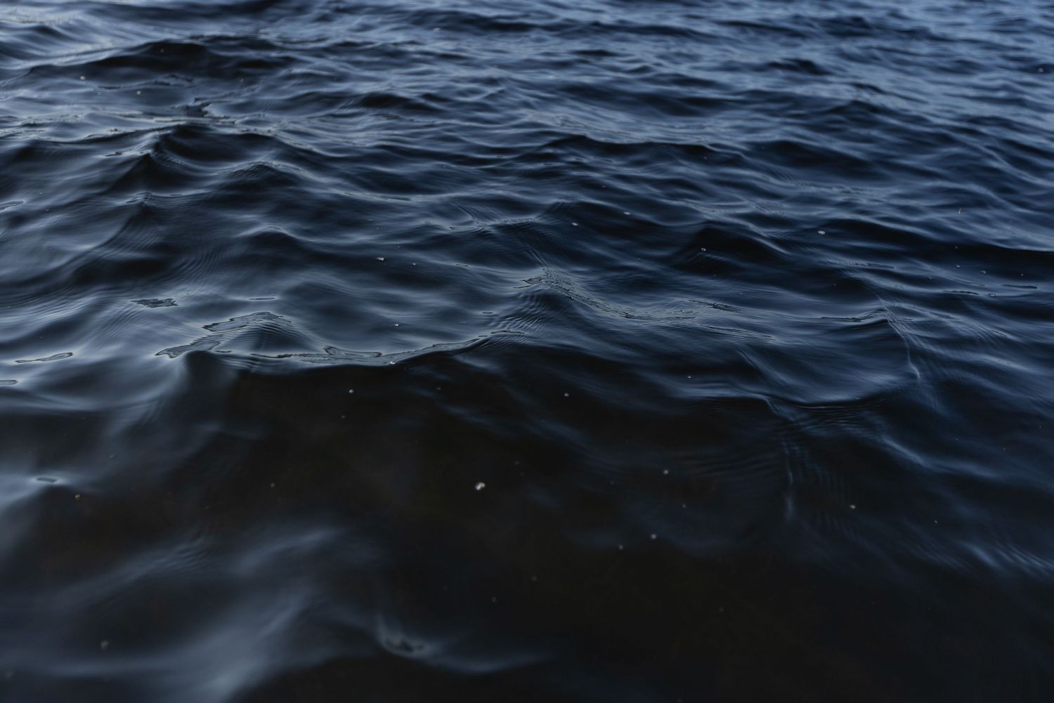 Eau océanique sombre et ondulée avec des vagues créant un motif de surface texturé contre la lumière du soleil.