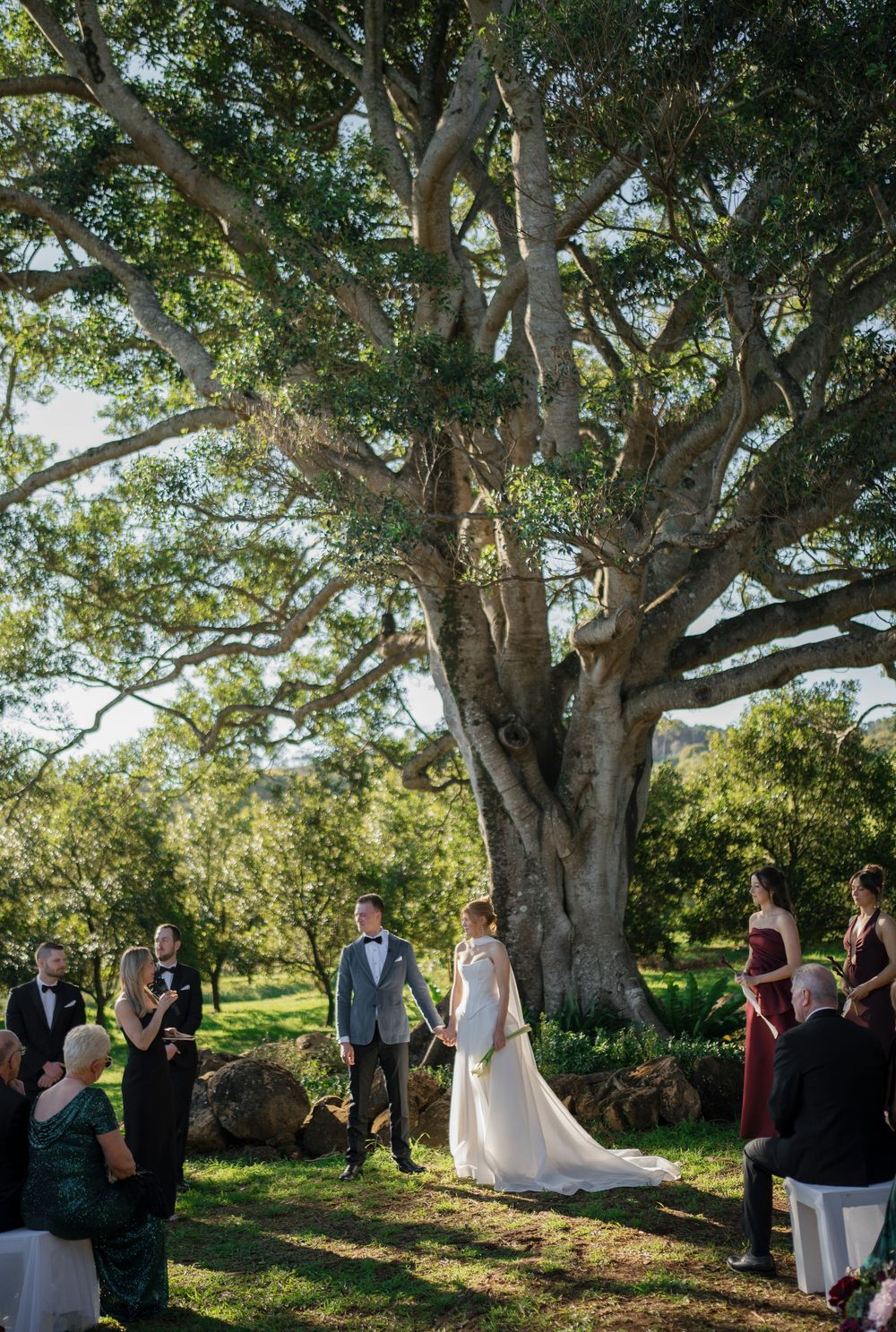 A wedding ceremony takes place under a majestic old tree in a serene outdoor setting.