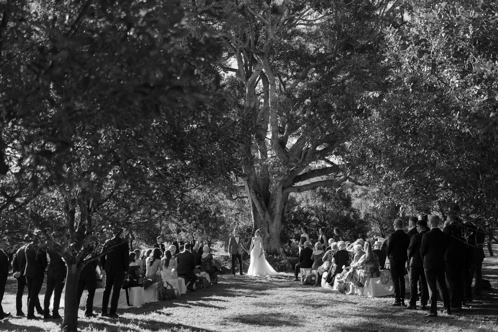 Outdoor wedding ceremony setup with rows of chairs along a tree-lined path.