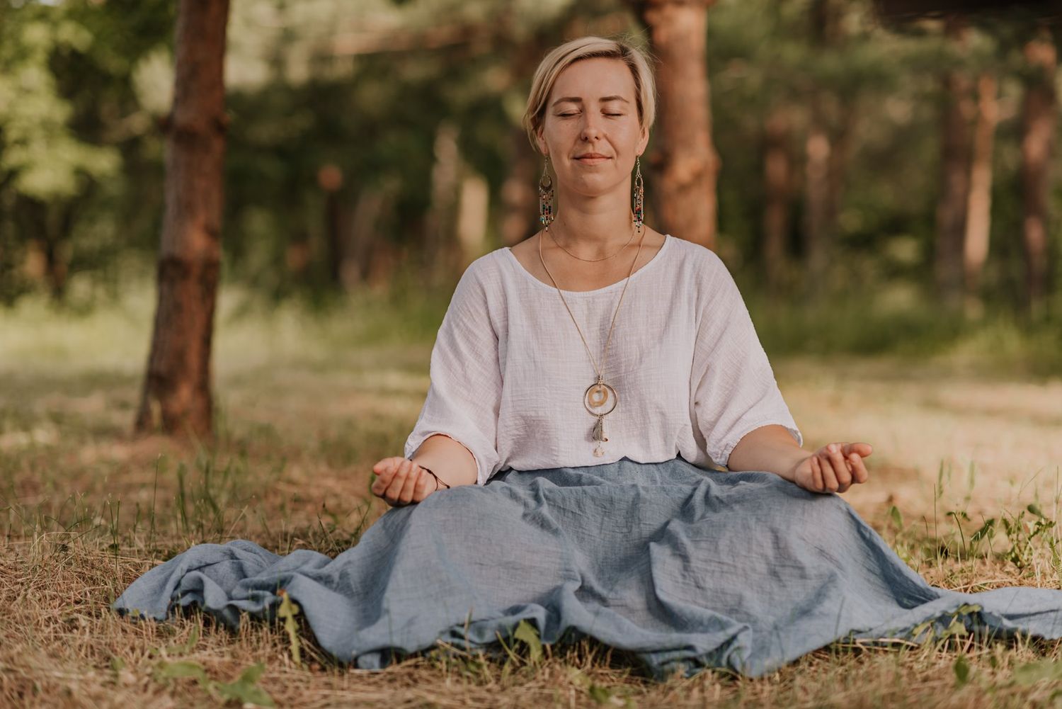 A serene outdoor scene in a grassy field surrounded by evergreen trees.