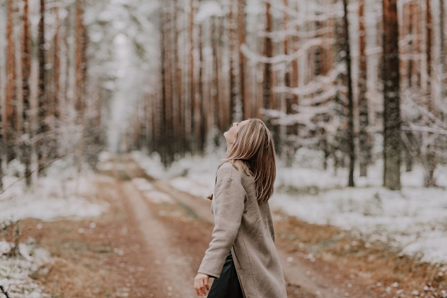Atmospheric winter forest scene with snow-dusted pine trees lining a dirt path.
