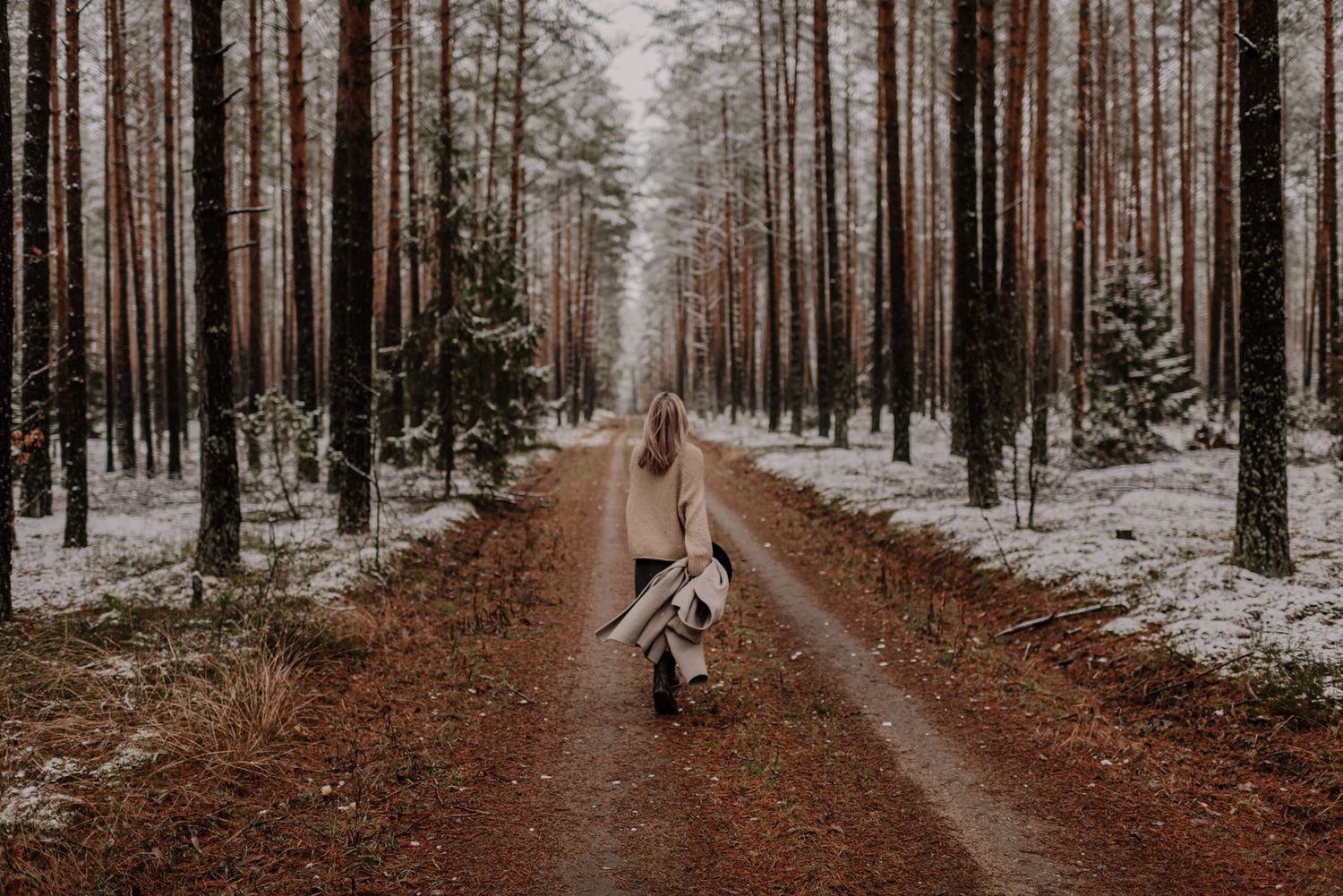 Long winding path through a winter forest with snow-covered pine trees.