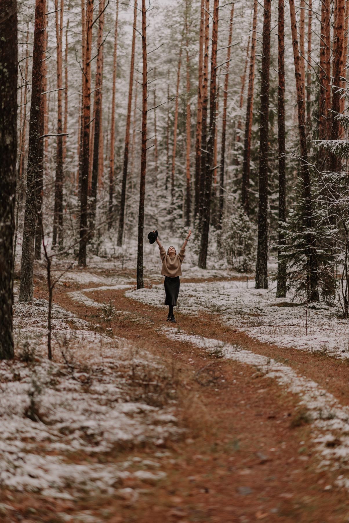 Curved dirt trail winding through a snow-dusted pine forest in winter.