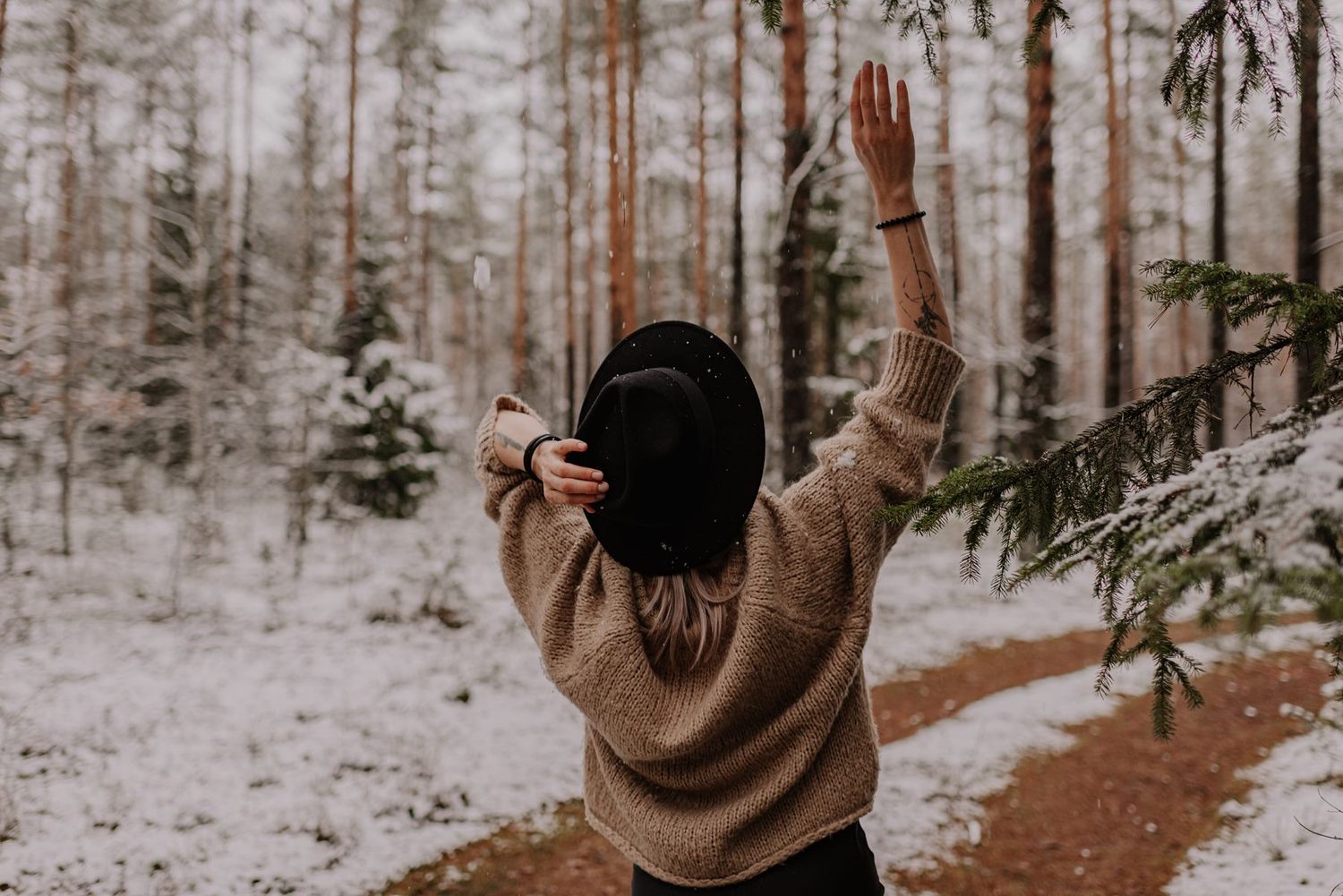 Someone wearing a warm sweater walks through a wintry pine forest with snow-covered ground.