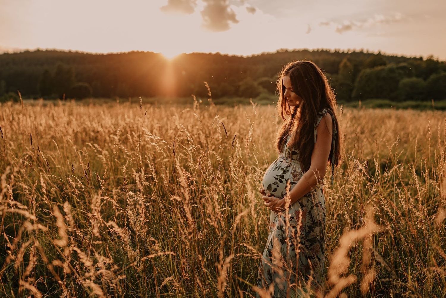 Golden sunset over tall grass meadow creating dramatic silhouettes.