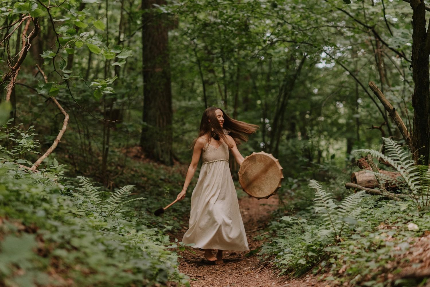 A peaceful scene in a lush green forest with natural light filtering through the trees.