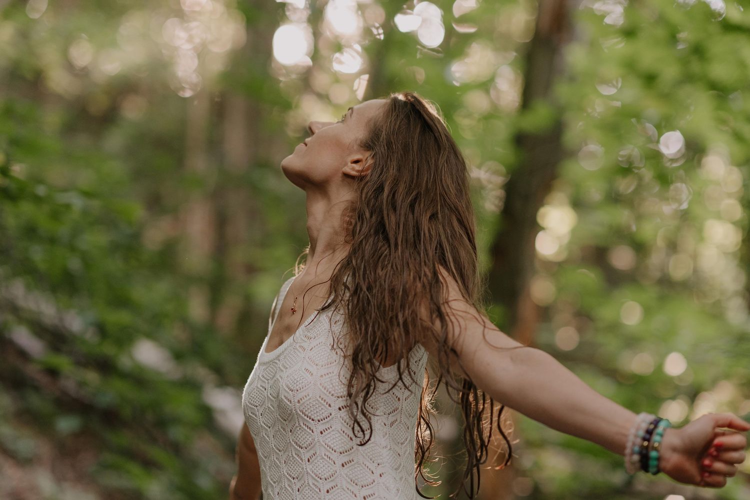 Sunlit forest scene with dappled light filtering through trees creating magical atmosphere.