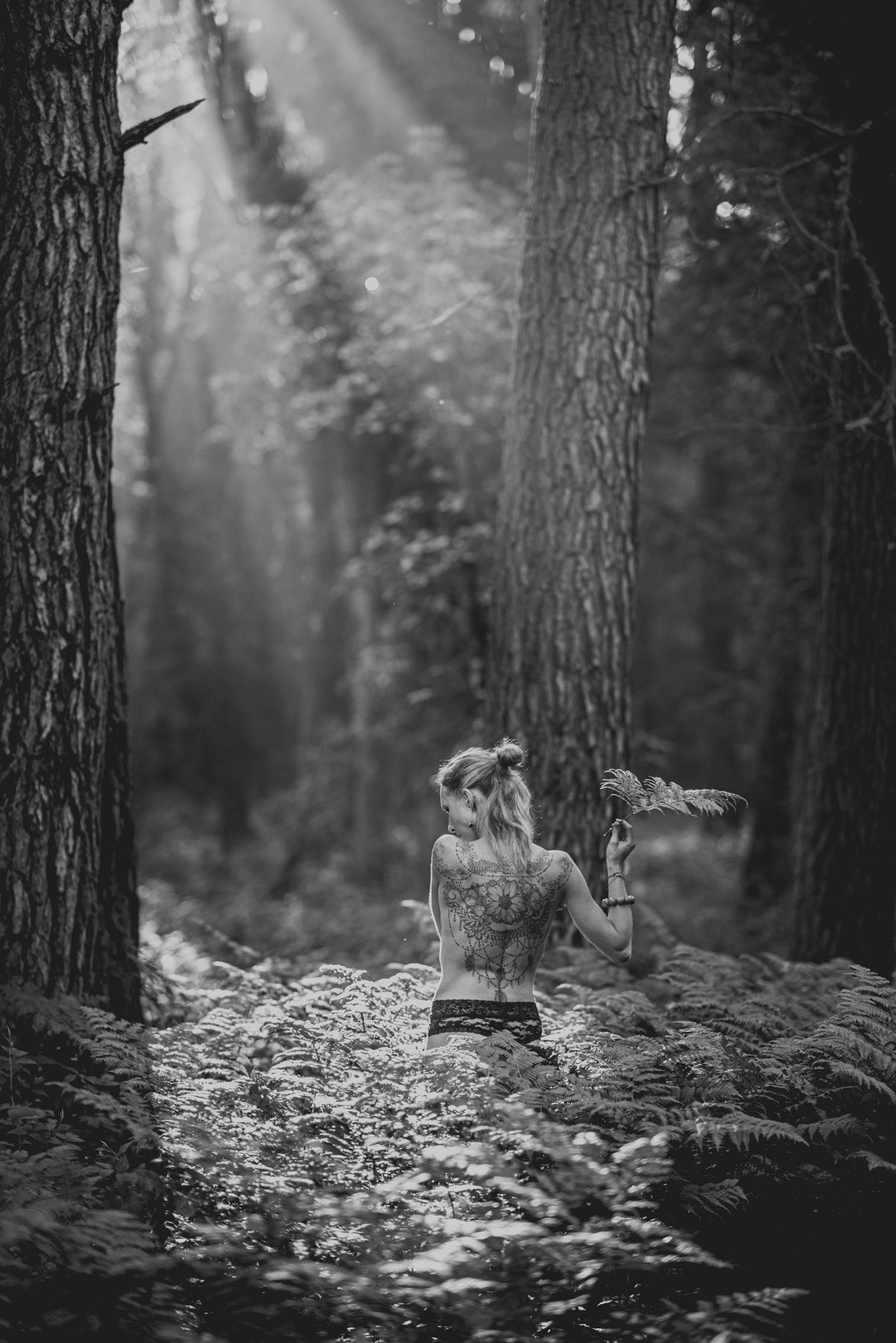 Black and white forest scene with dramatic light filtering through pine trees.