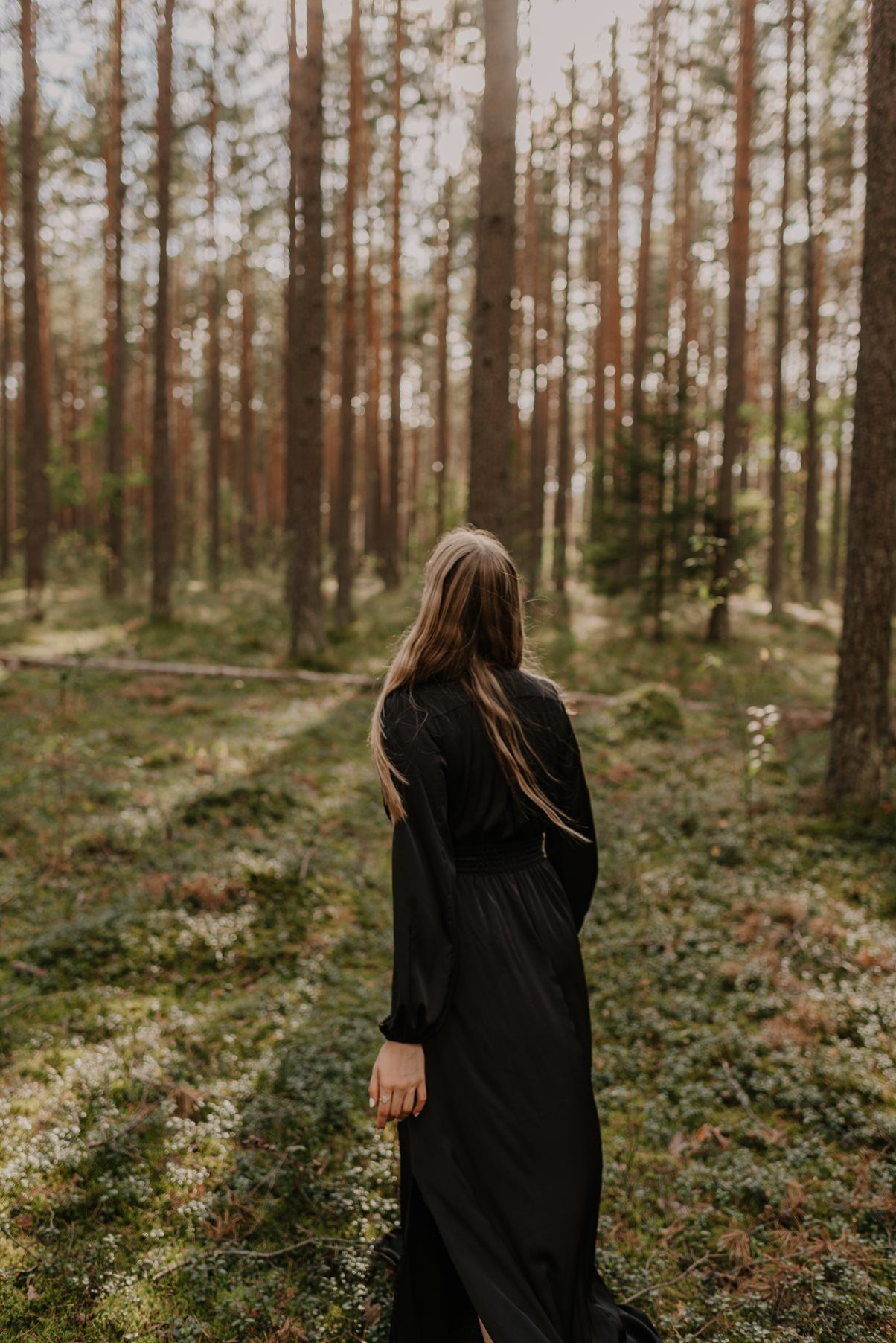 Moody forest scene with figure in black walking among tall pine trees.