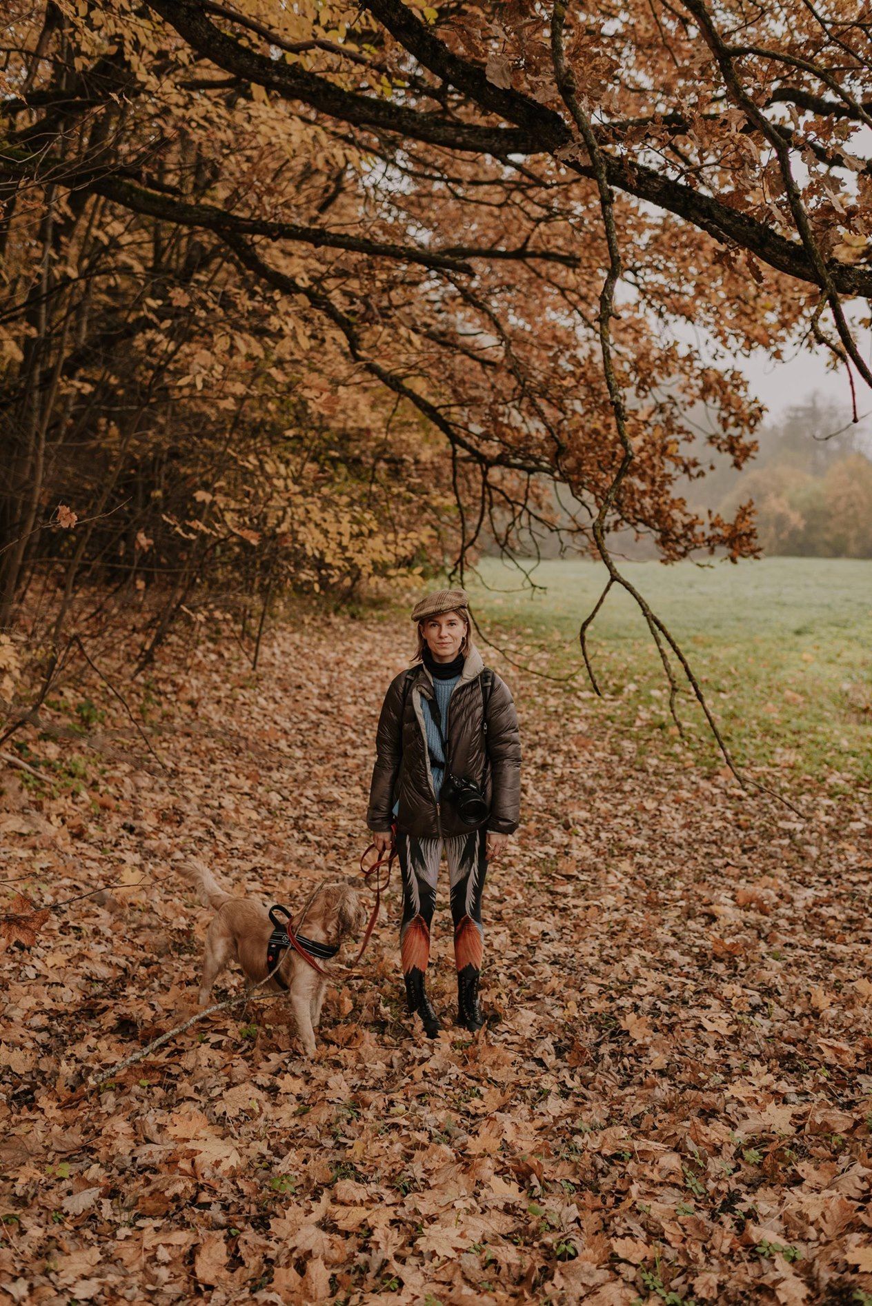 Dog and owner walking through autumn leaves scattered on ground beneath tree branches.