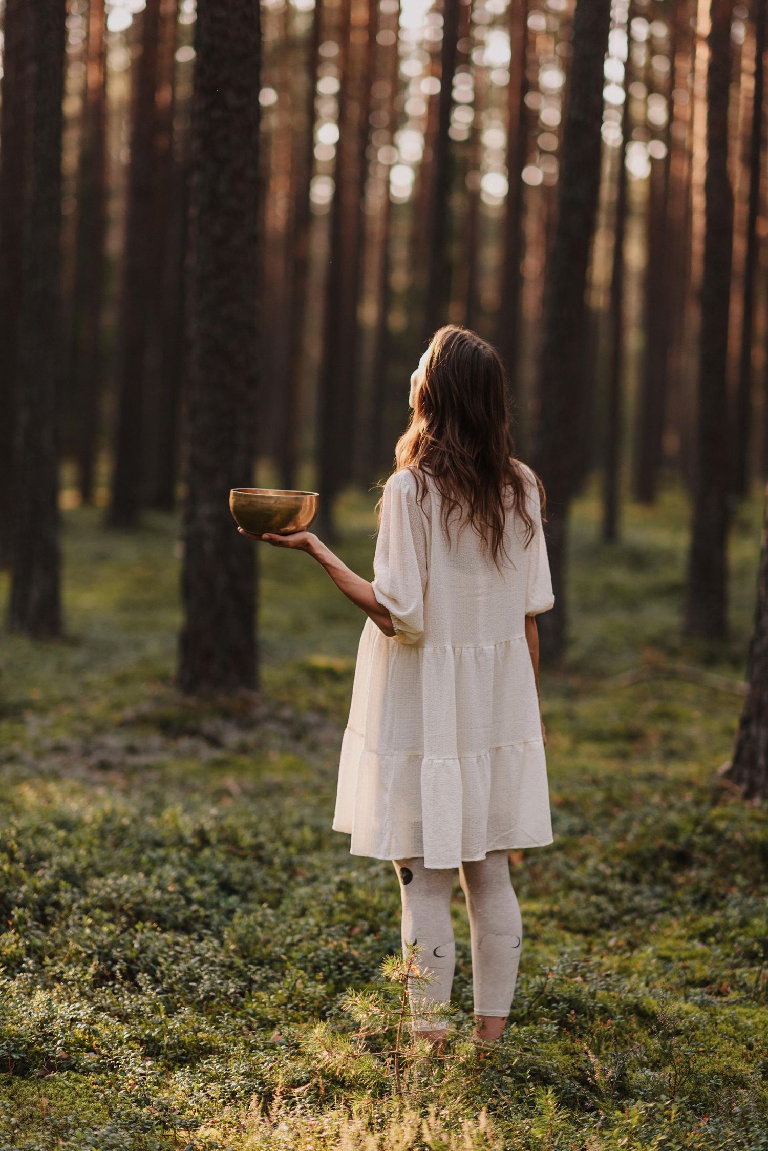 Figure in white dress holding a wooden bowl while standing among pine trees.