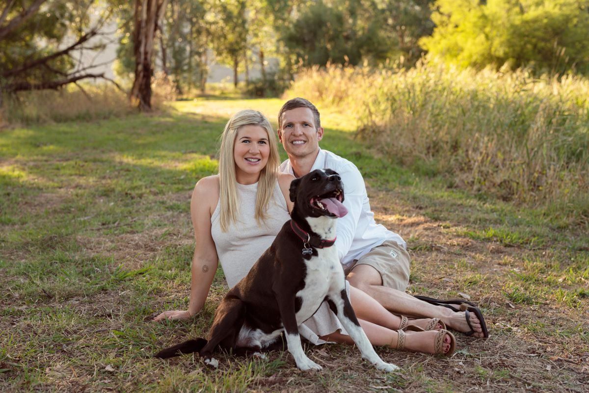 A couple sits outdoors with their chocolate and white dogs during a golden sunset photoshoot in nature.