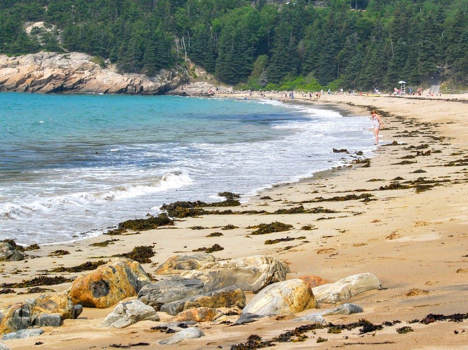 Coast of Maine/ Sandy Beach, Acadia National Park