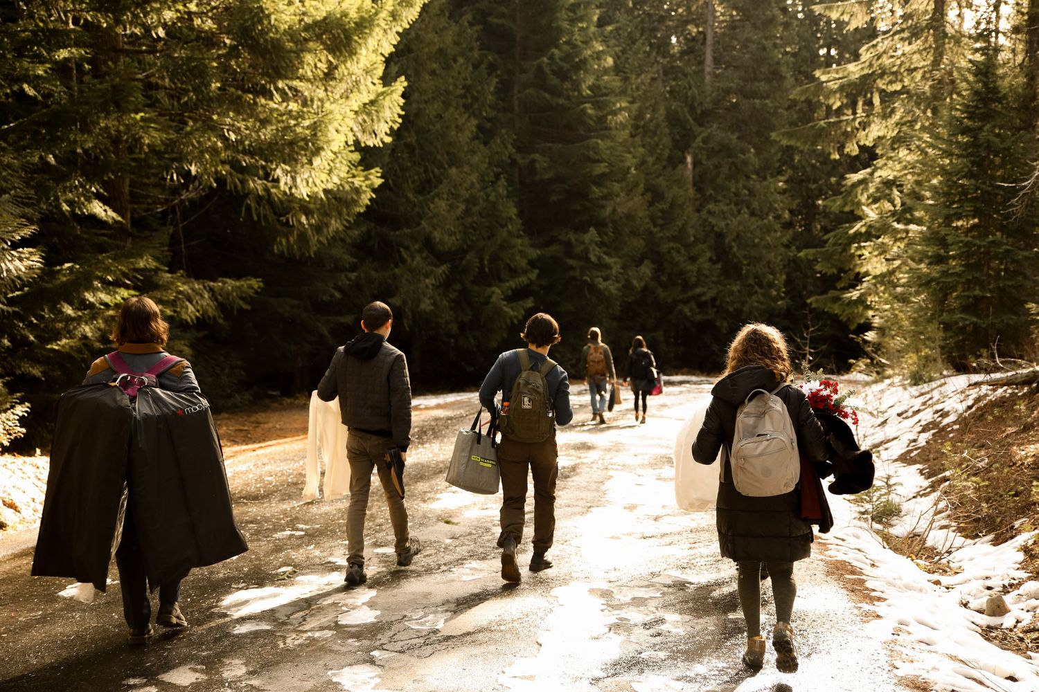Group of hikers walking on a snowy trail through sunlit evergreen forest.
