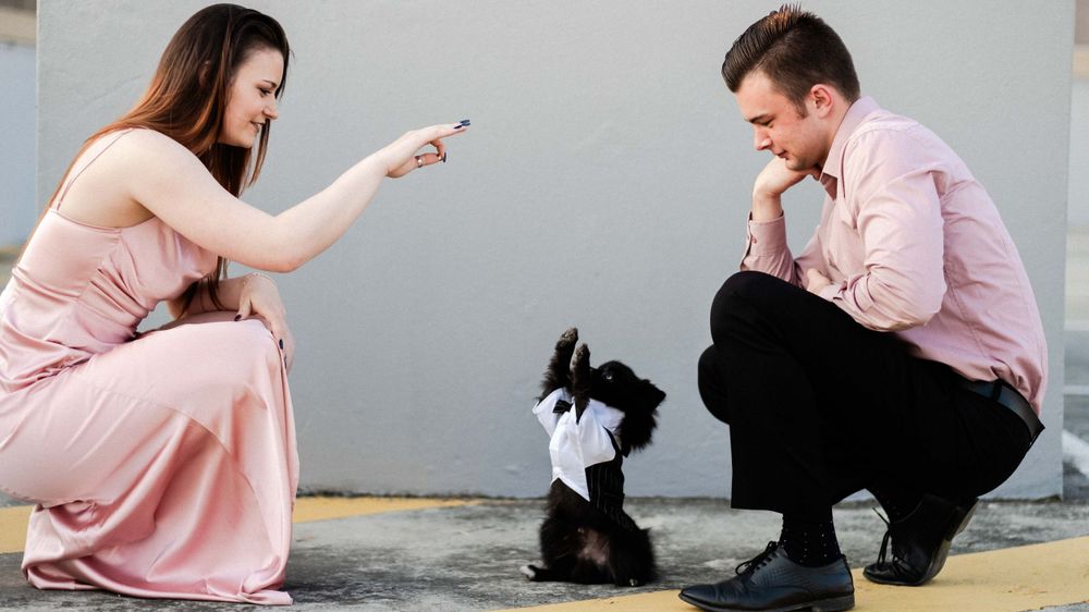 Engagement