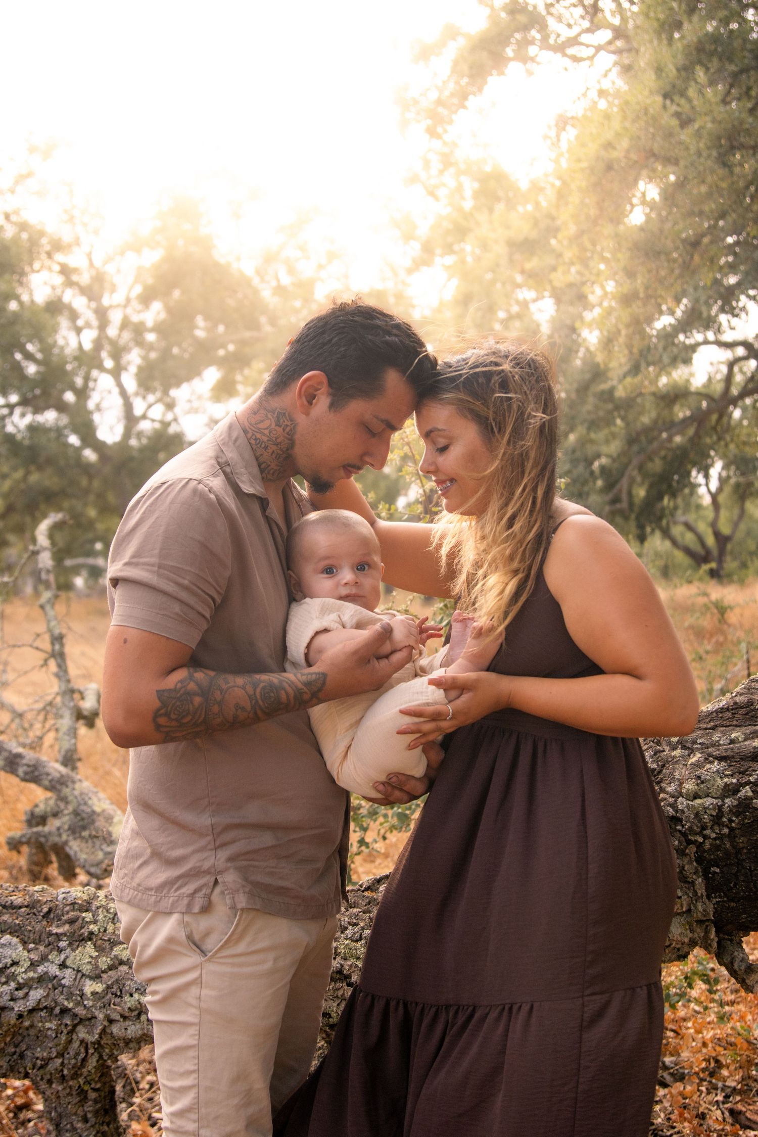 Intimate family portrait session in a sunlit field during golden hour.