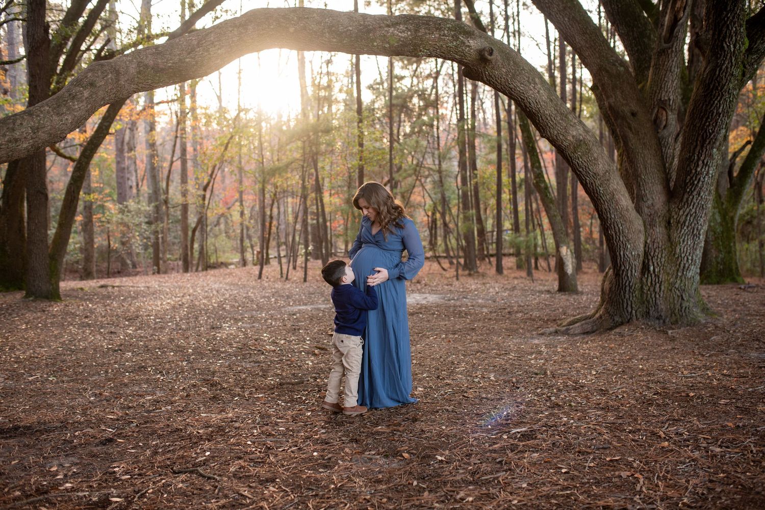 Romantic maternity photos in wooded area with sunlight streaming through trees.