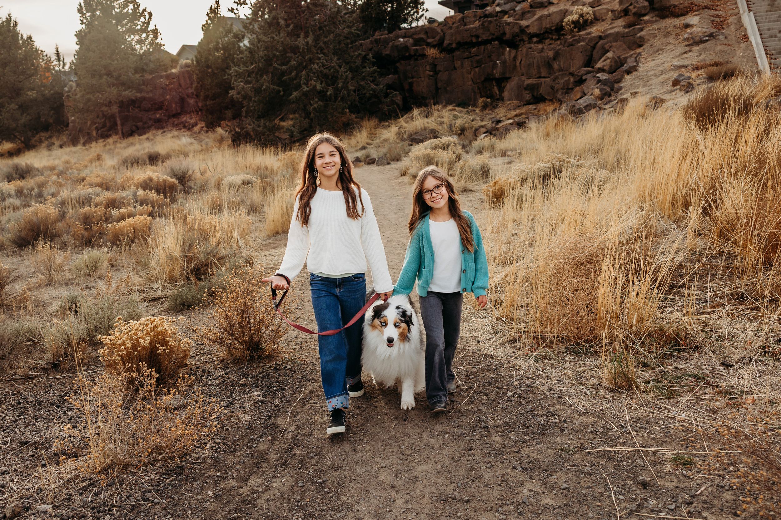 Two people walking a Border Collie dog on a hiking trail through dry grass and pine trees at sunset.