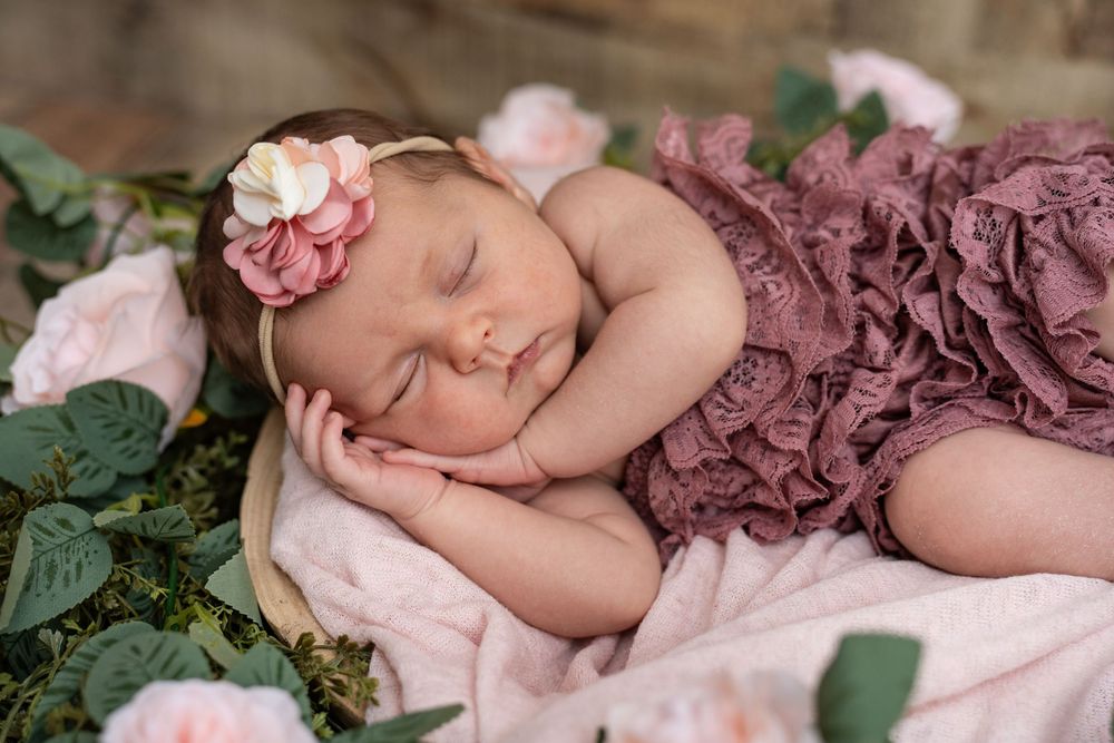 Sleeping newborn wearing mauve ruffled outfit lies on soft pink fabric surrounded by roses and greenery.