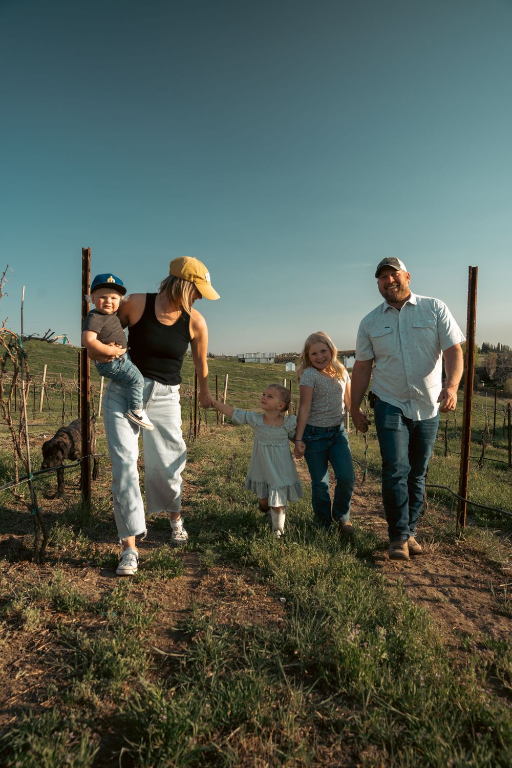 A family of five walks through a vineyard on a sunny day with clear blue skies.
