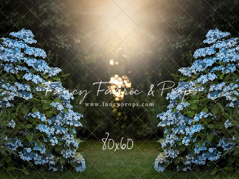 Enchanting garden backdrop with blue hydrangeas flanking a sunlit path, perfect for photography, 80x60 size.