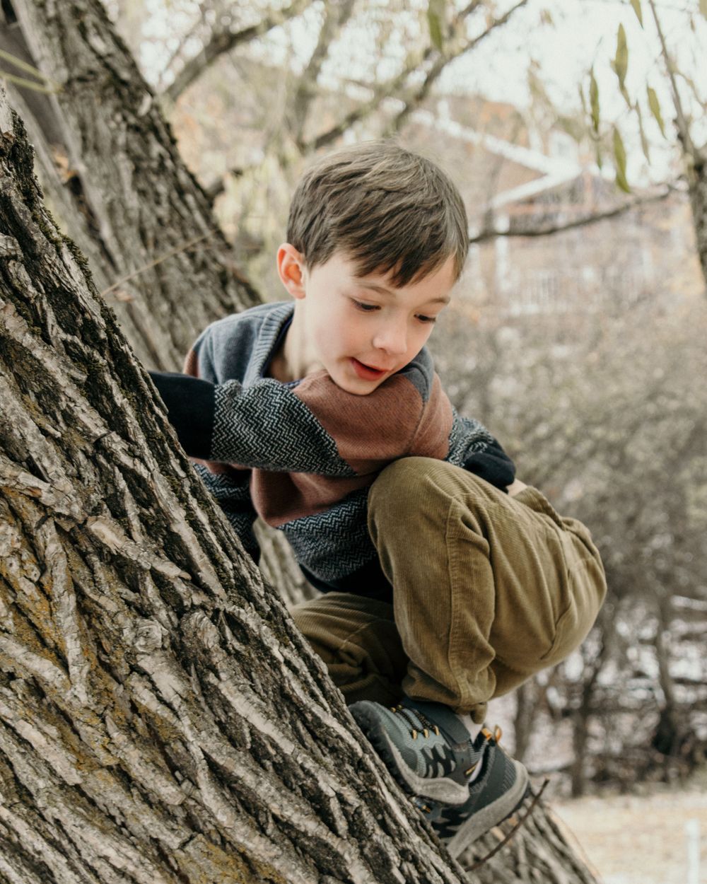 Young child climbing a large tree trunk during an outdoor adventure.
Family, young boy, winter,