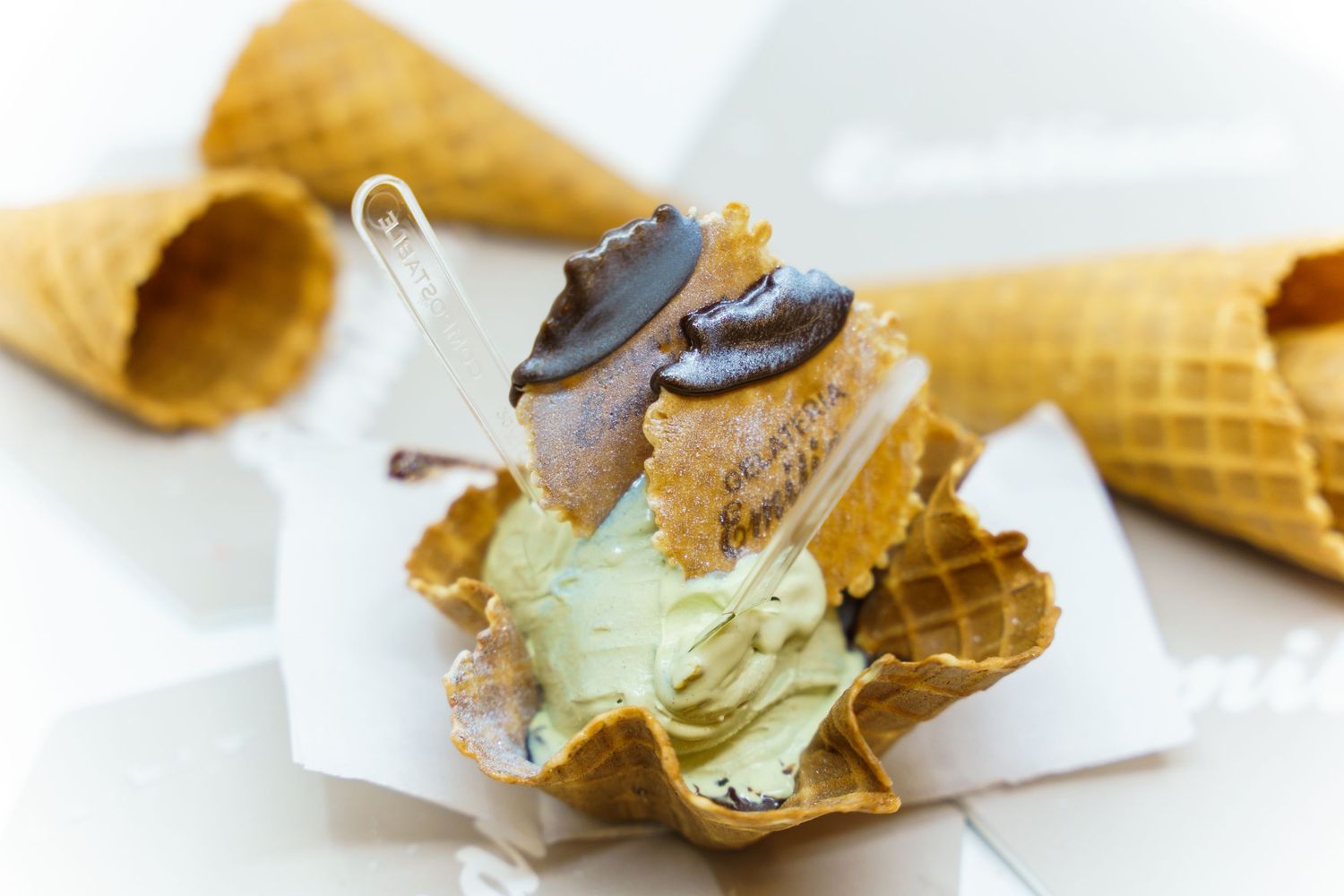 Gelateria Emiliana 2019