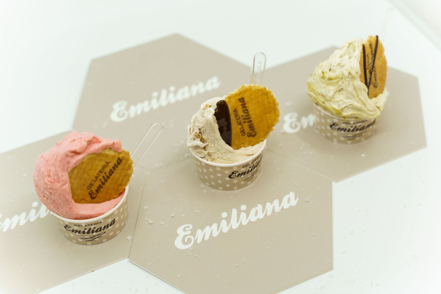 Gelateria Emiliana 2019