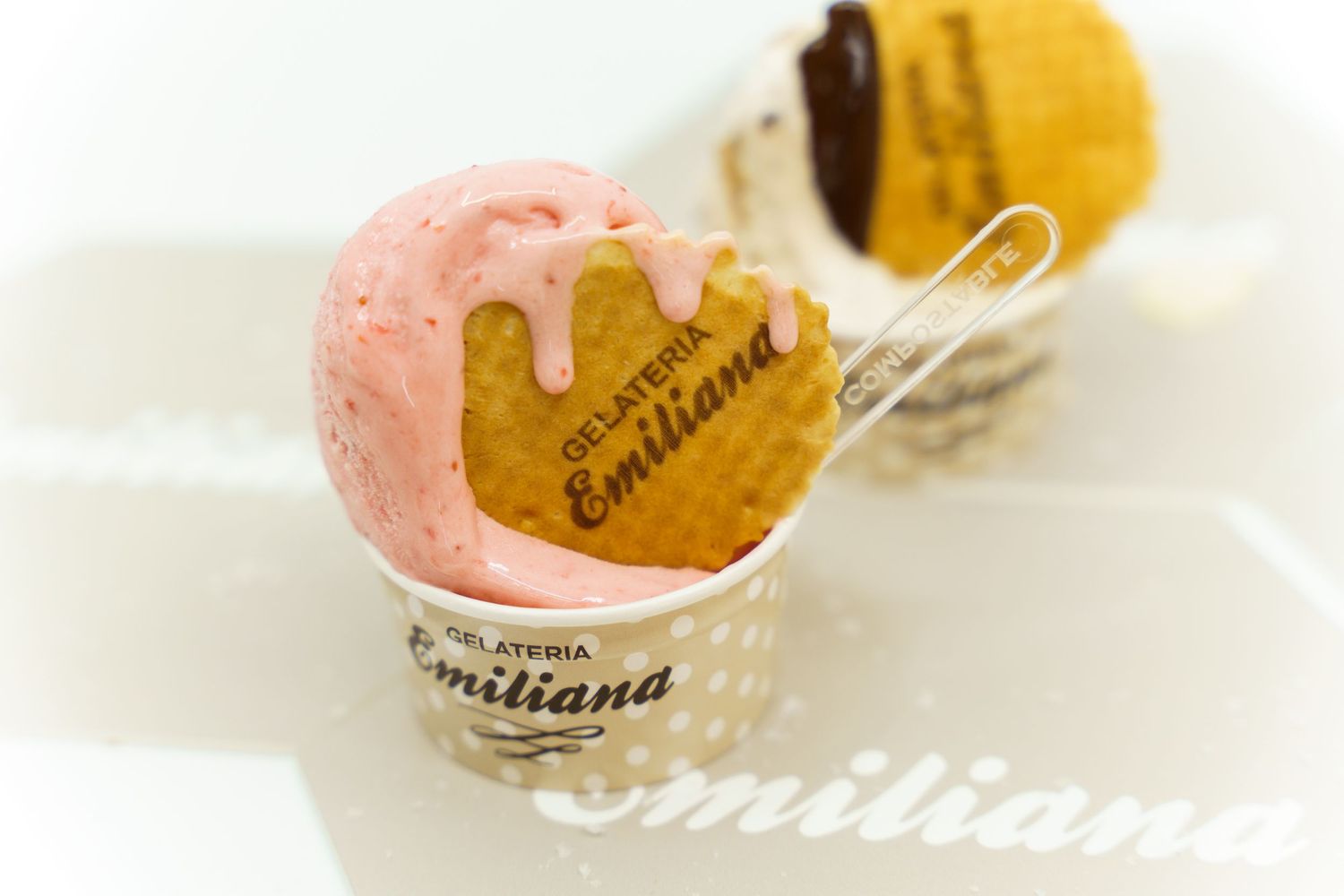 Gelateria Emiliana 2019