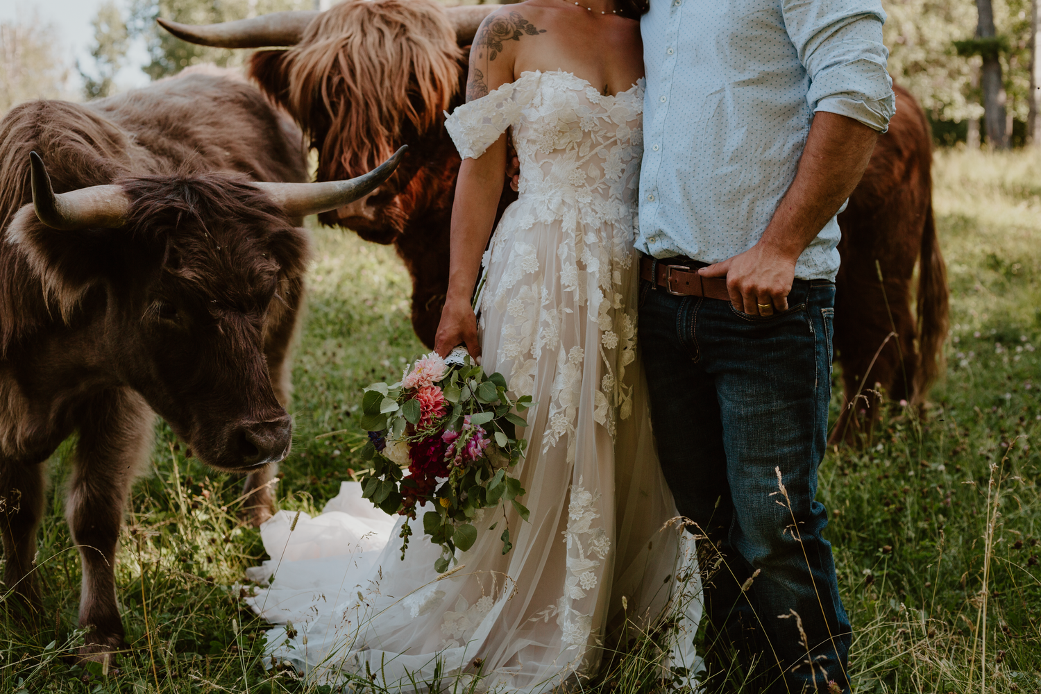 Bride and groom standing in a field with highland cows. Groom has his hand in his pocket and she is holding her boquet.