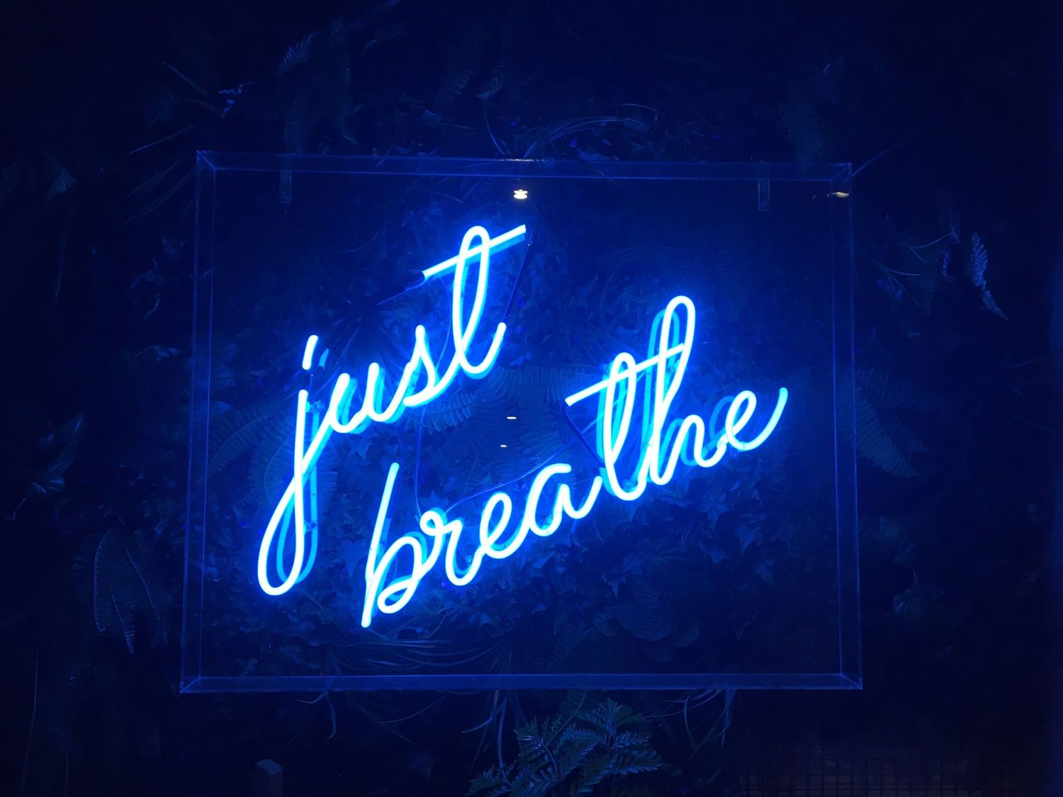 Illuminated blue neon text signs displayed in sequence against a dark background create an artistic messageat the Scotsman Hotel, Edinburgh.