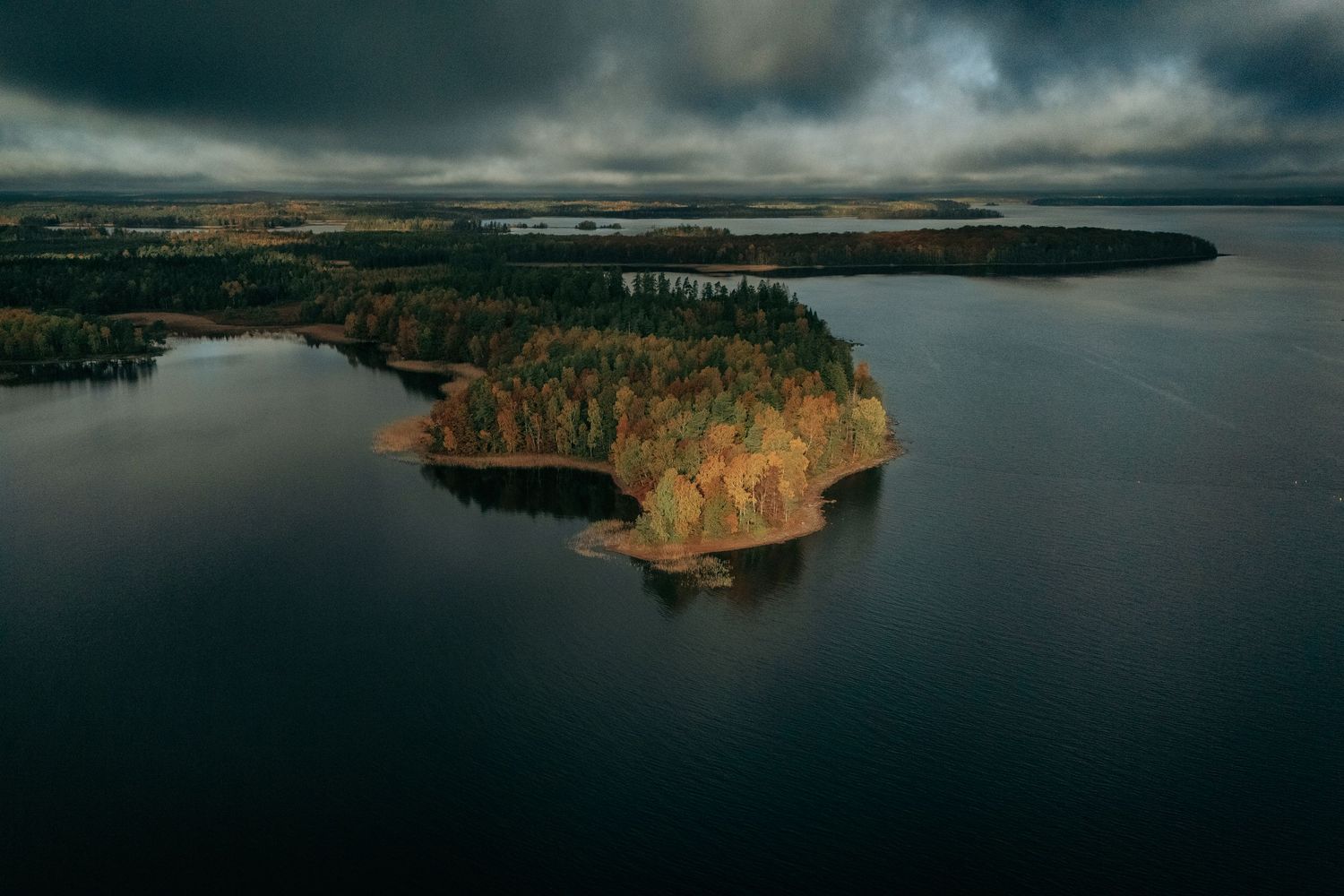Familie på strandtur ved lavvande – idyllisk naturfotografi med blødt lys og minimalistisk komposition. Perfekt til rejseinspiration og uden