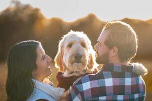 Couple shares loving moment with their goldendoodle dog during sunset photoshoot.