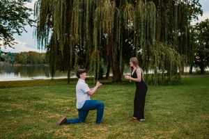 A romantic proposal scene under a weeping willow tree by a serene lake on a sunny day.
