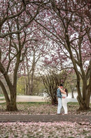 Couple sharing an intimate moment under blooming cherry blossom trees.