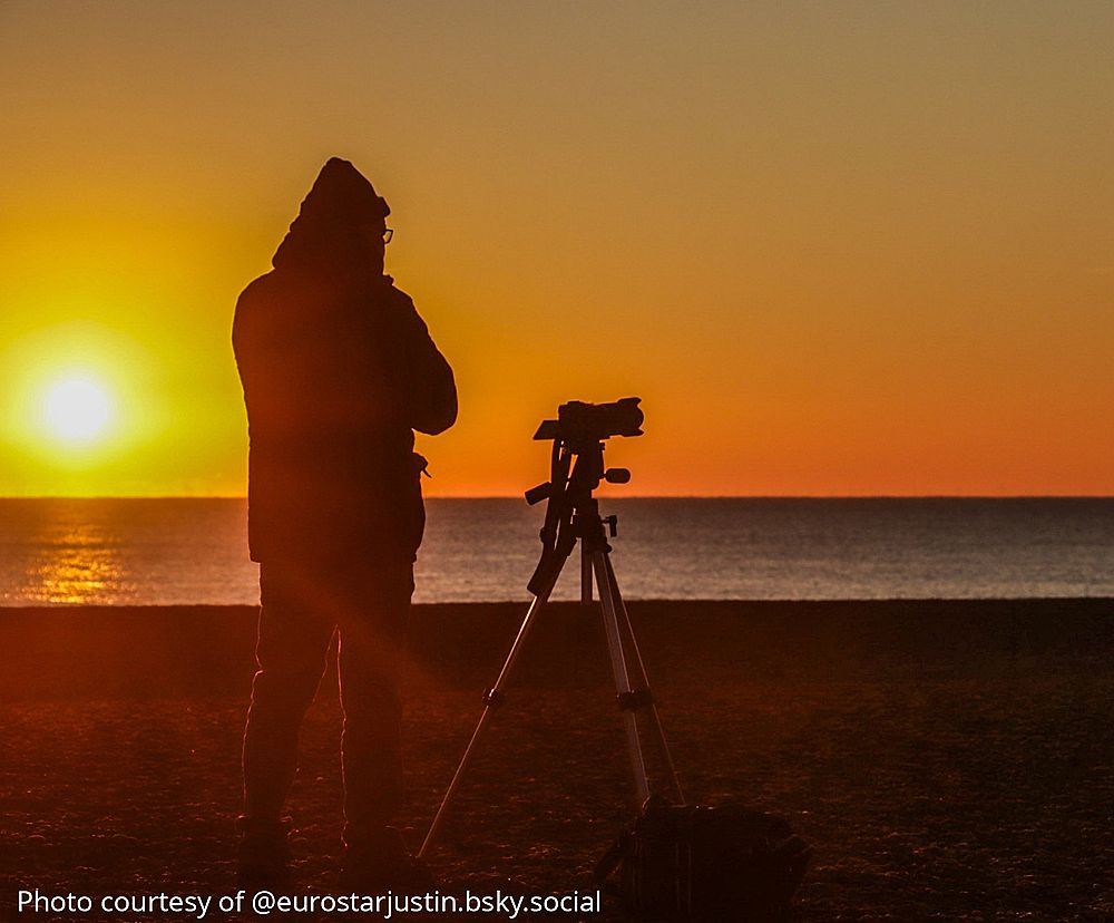 A large scallop shell silhouetted against a vibrant orange and blue sunset sky over the ocean.