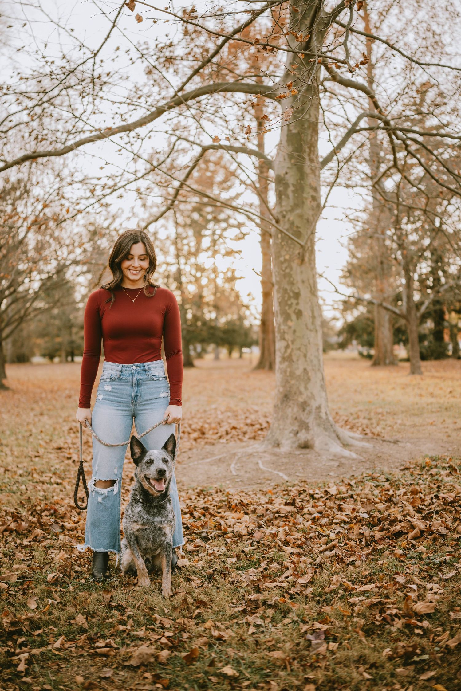 A fall photoshoot featuring two dogs playing in autumn leaves.