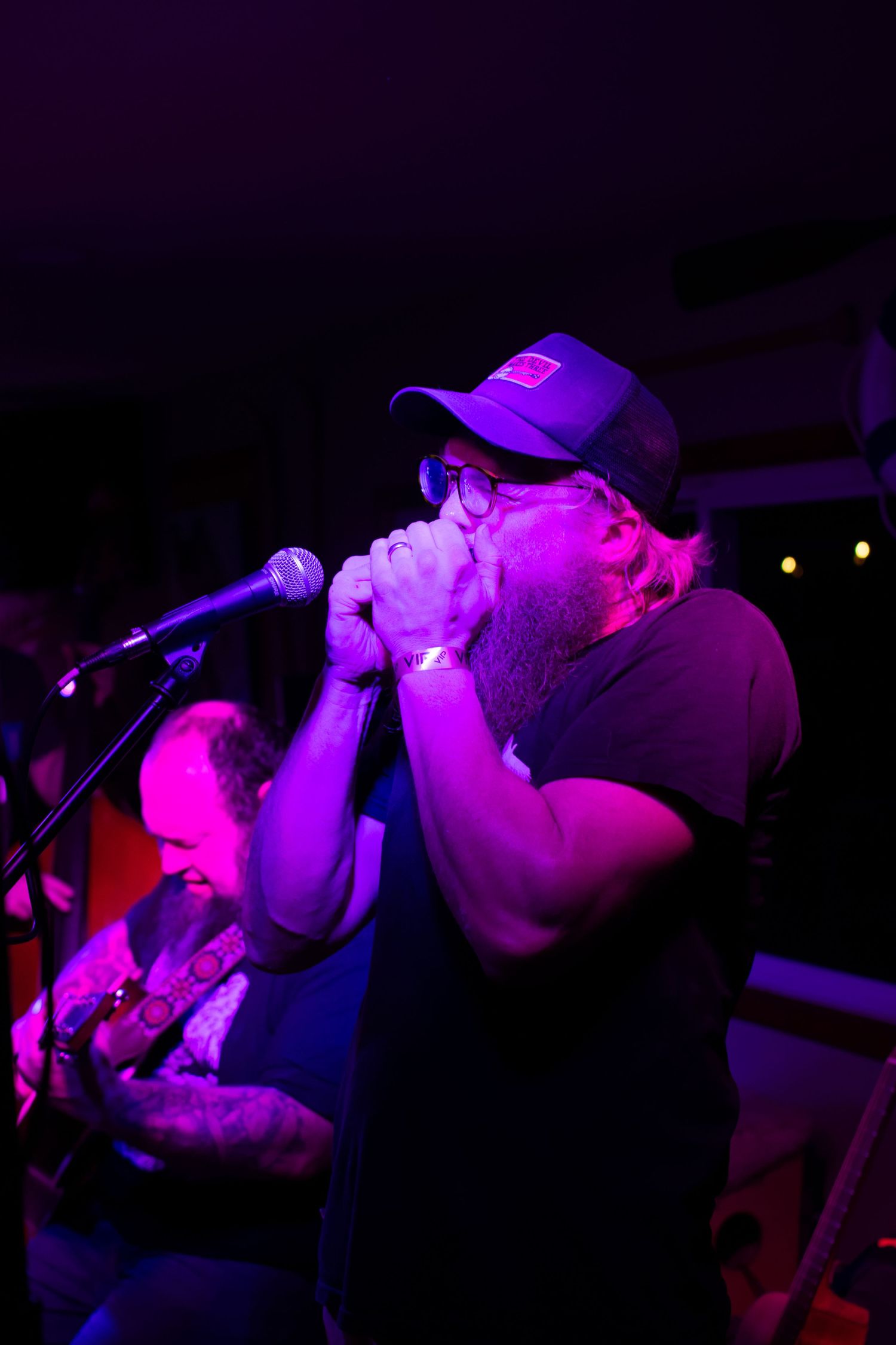 Bearded musician playing harmonica at microphone under purple stage lights at live performance.