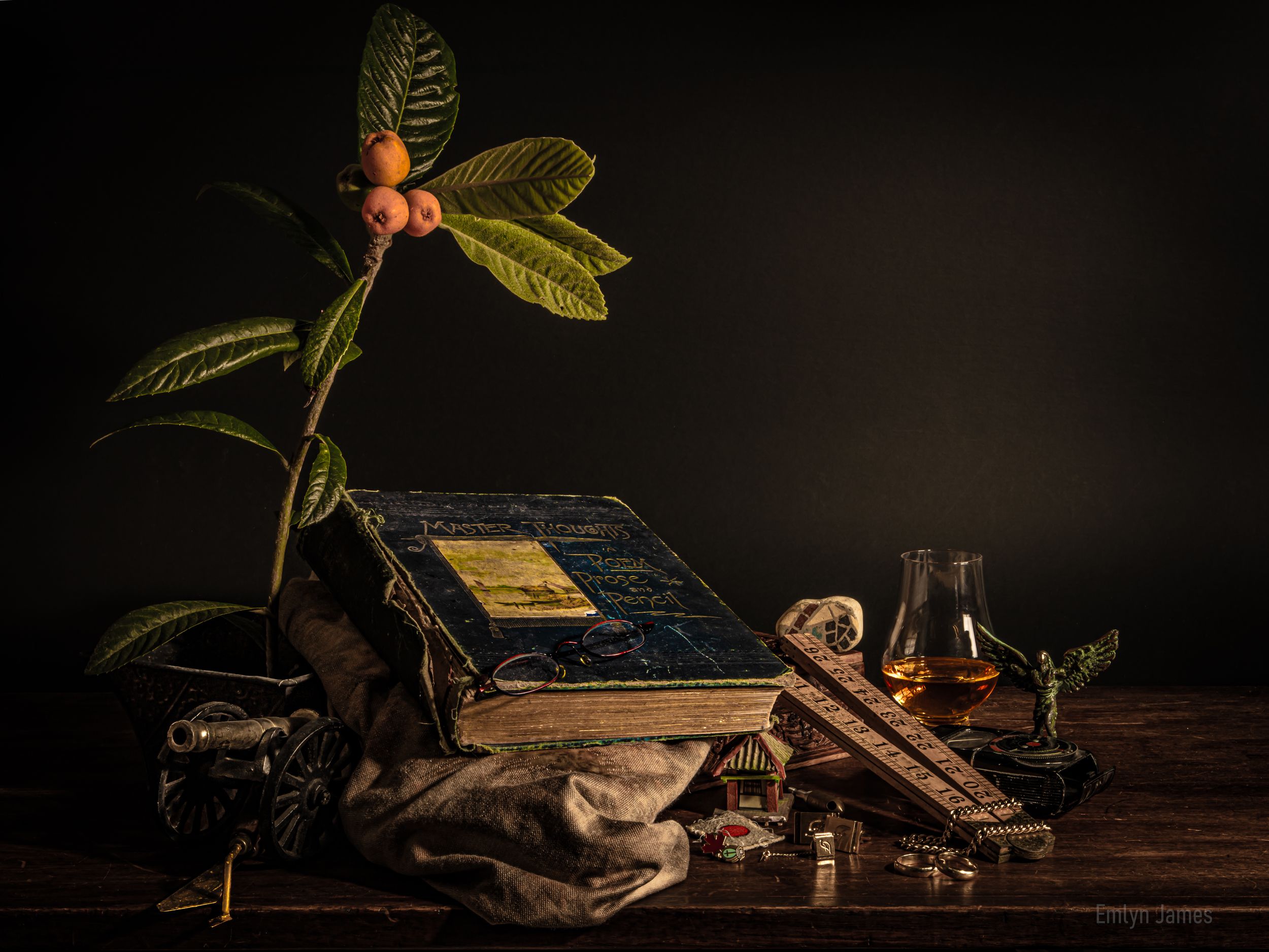 Vintage still life with old books, whiskey glass, cigar, antique items, and a green plant branch on a wooden table.